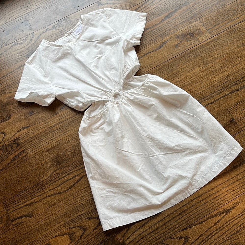 Zara dress